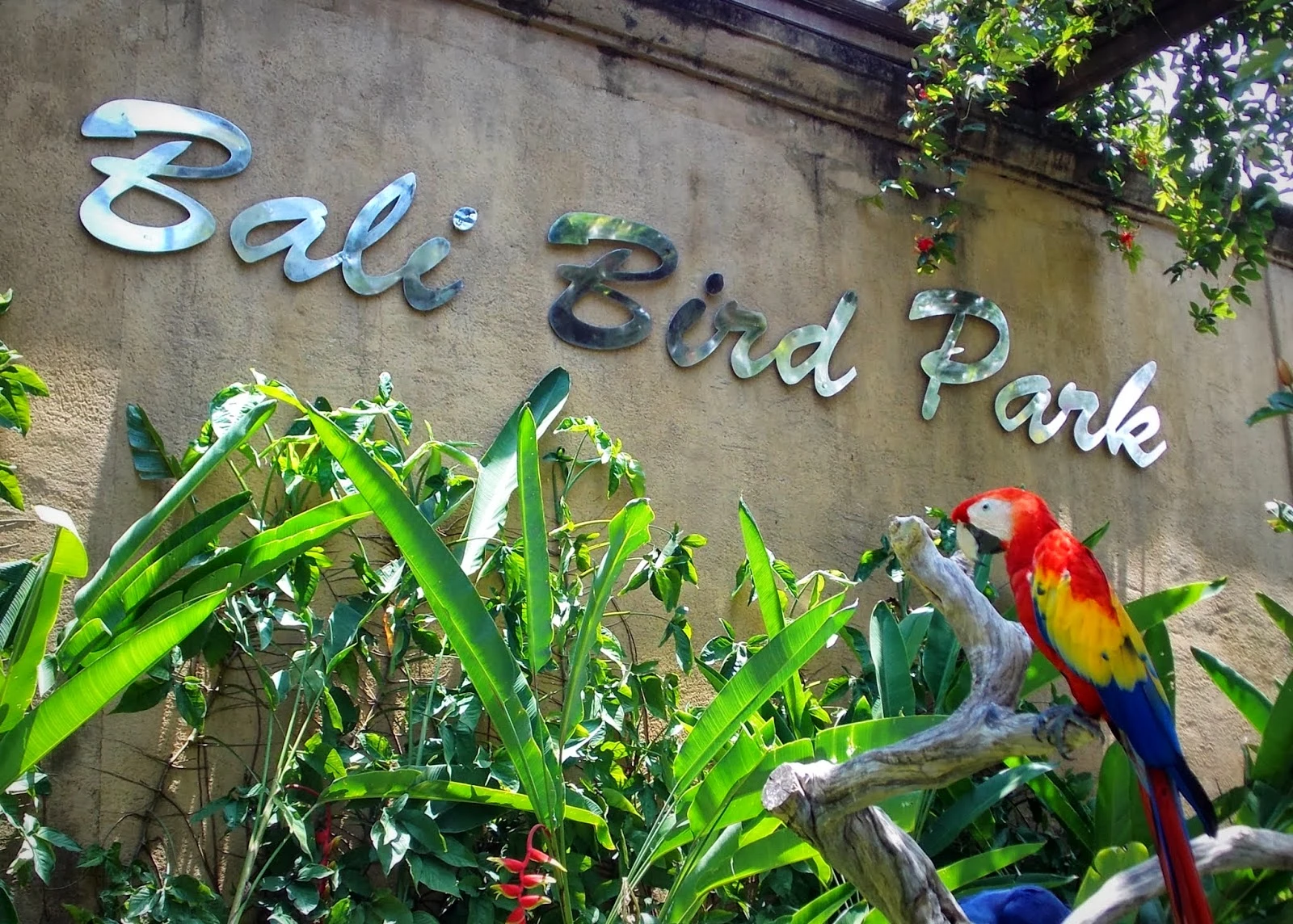bali bird park entrance