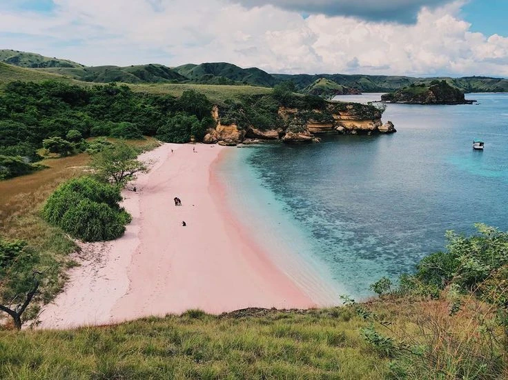 Pink Beach of Komodo Island