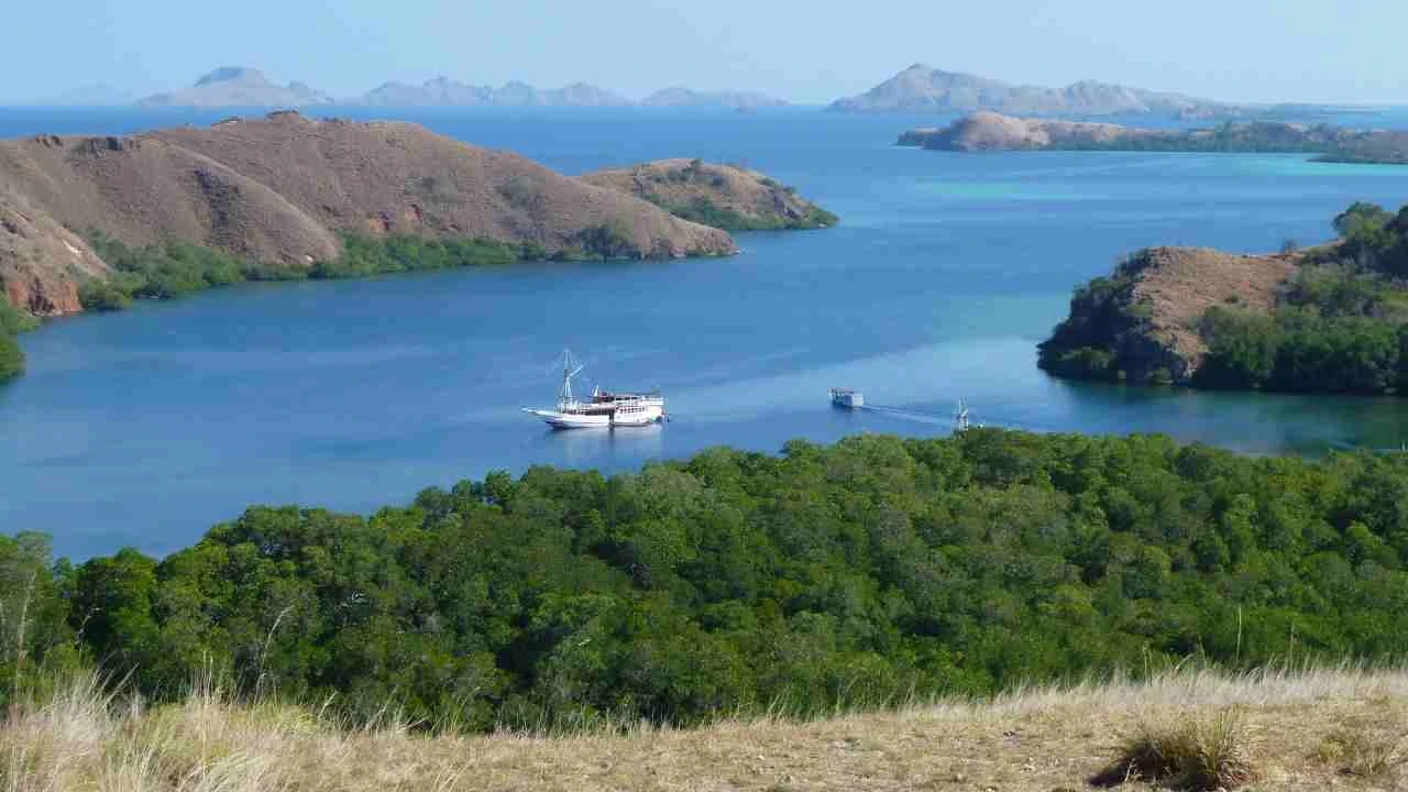 Rinca National Park Komodo Island Indonesia