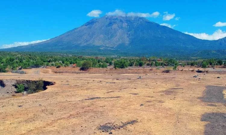 the savanna view with agung volcano as a background