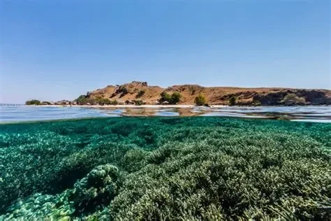 Sebayur Island Komodo National Park