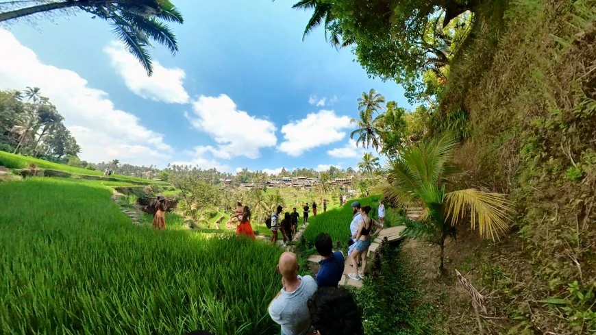 activities at tegallalang rice terrace