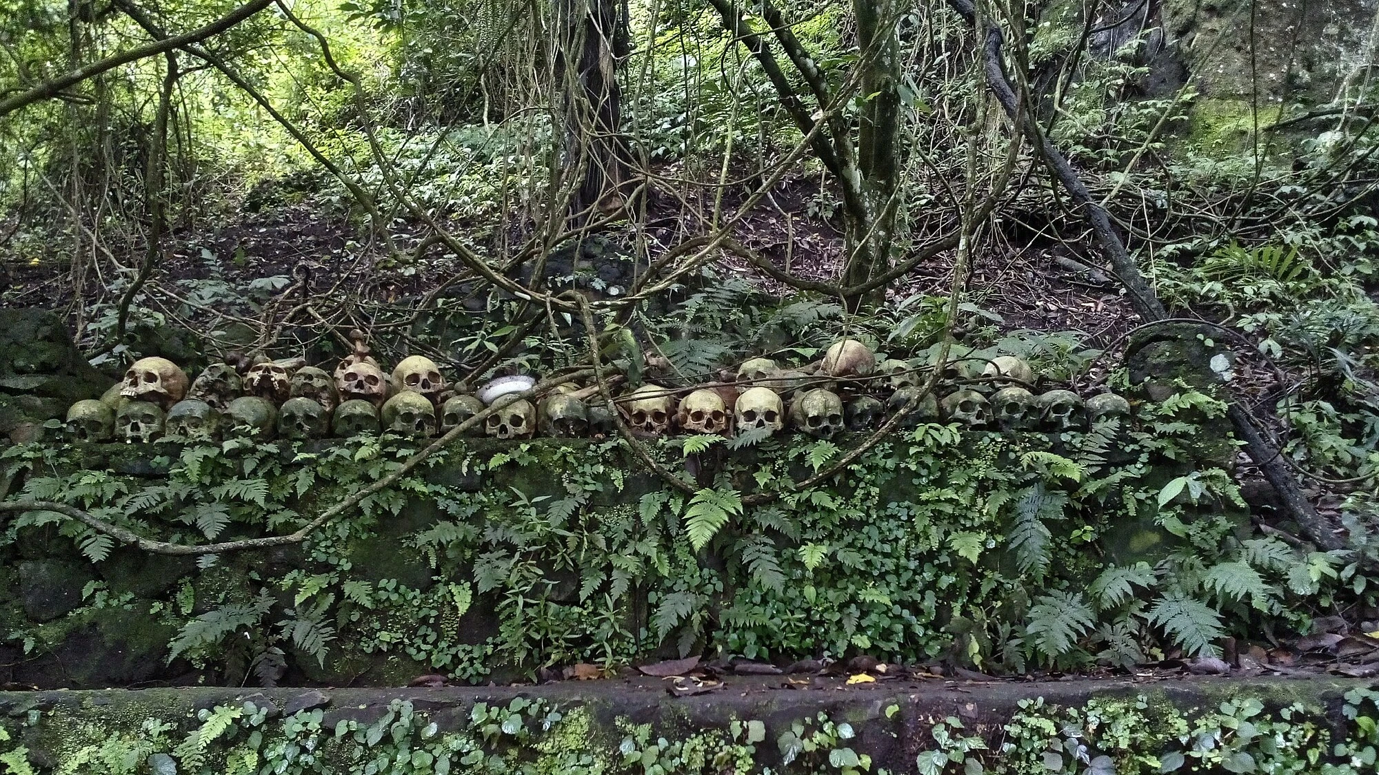 skull bone in trunyan bali