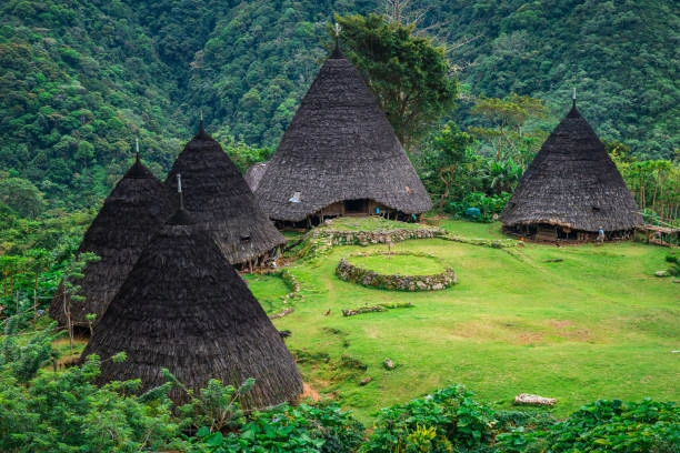 Wae Rebo Traditional Village