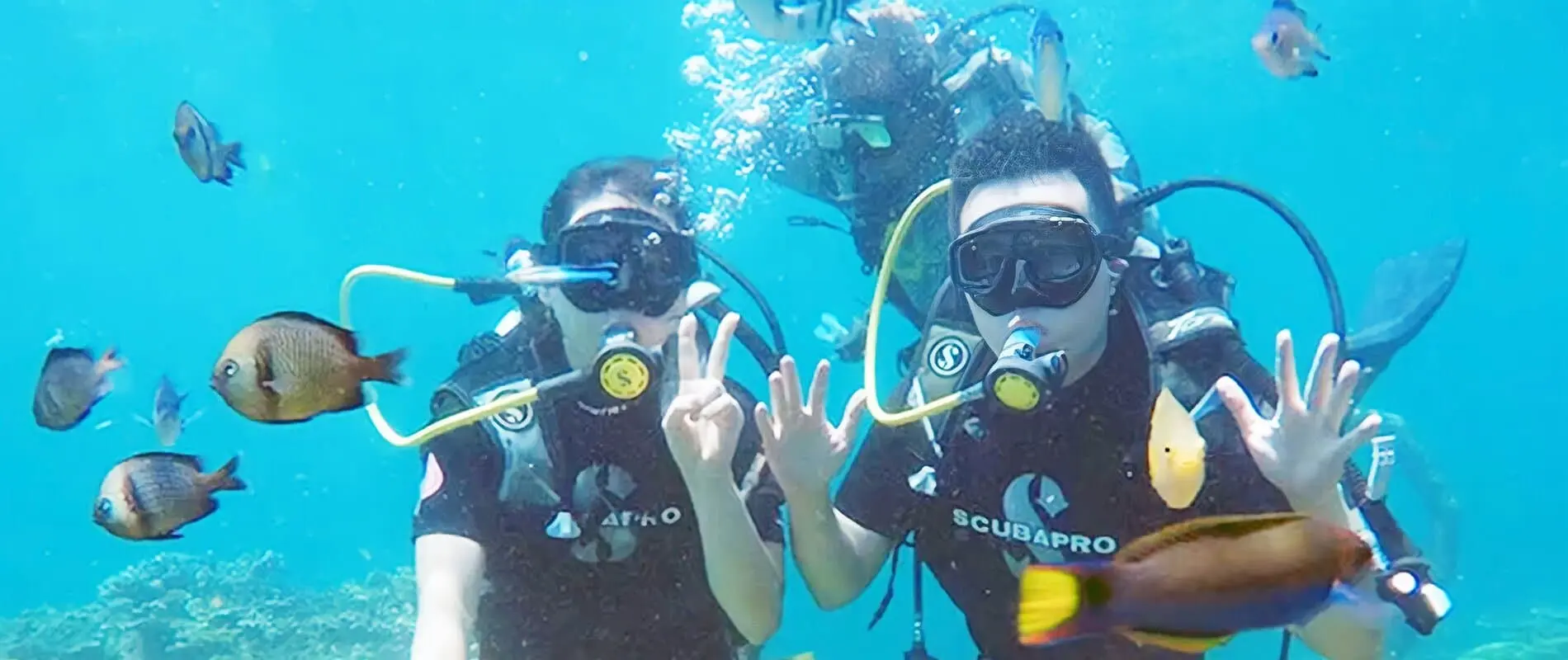 header image of f.a.q