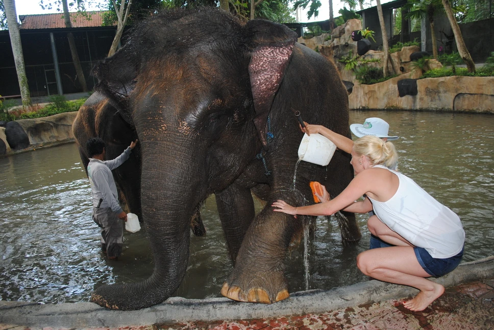elephant bathing, bakas elephant sanctuary