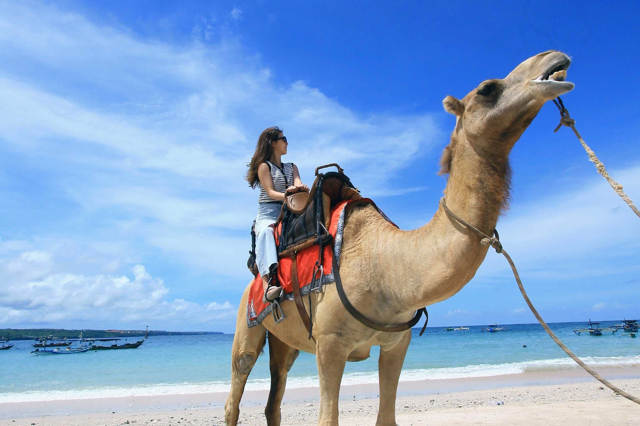 cool young women posing on camel back at kelan beach