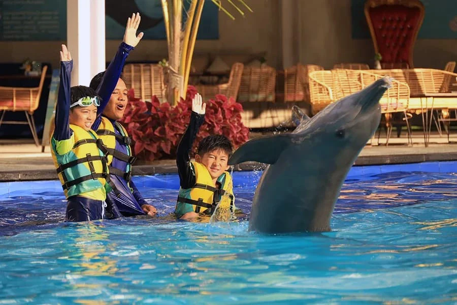 two boys interaction with dolphin