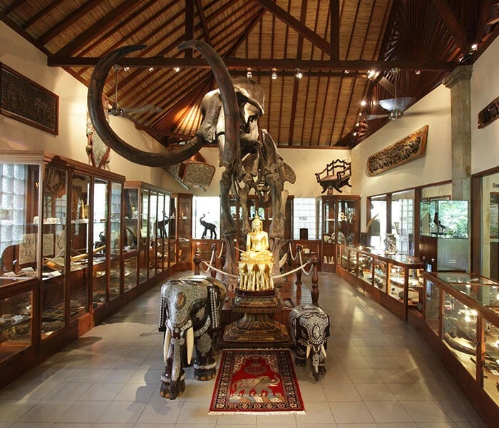 mason elephant museum