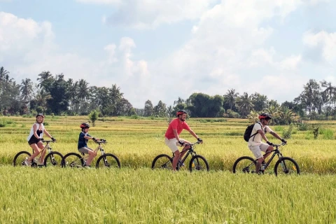 rice field cycling tour