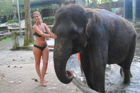 bakas elephant park bali