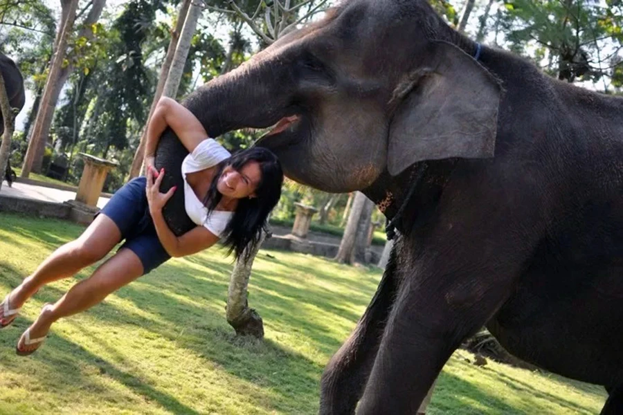 fun activity at bakas elephant park