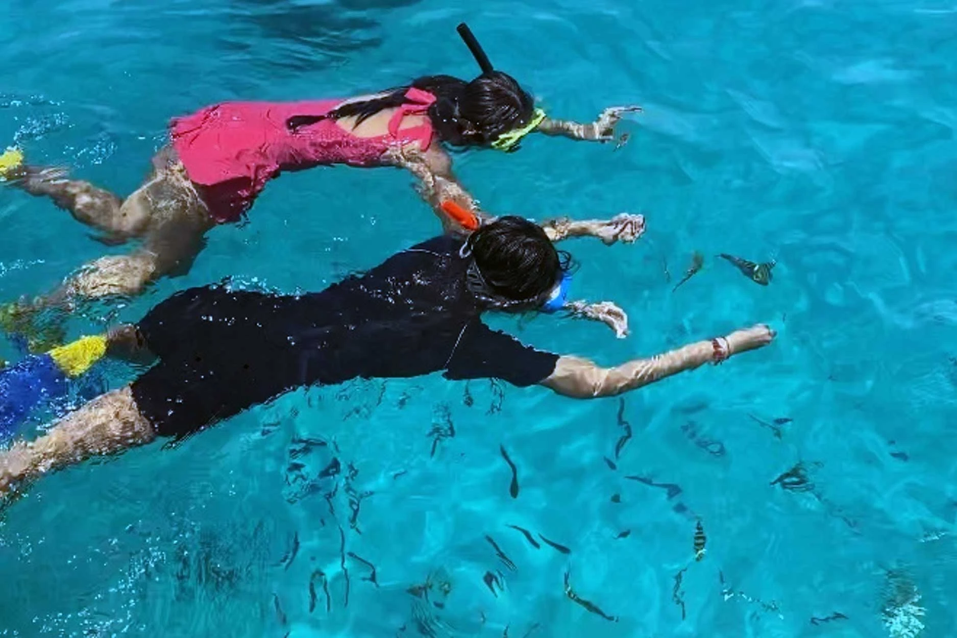 people snorkeling in lembongan