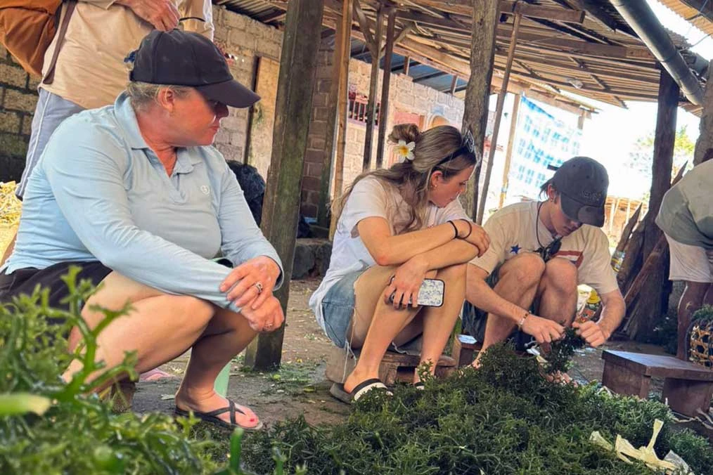 seaweed farmer visit in lembongan island