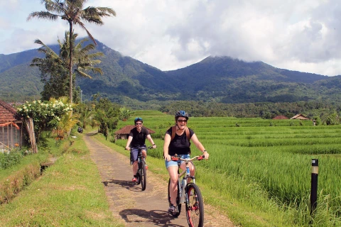 jatiluwih cycling track