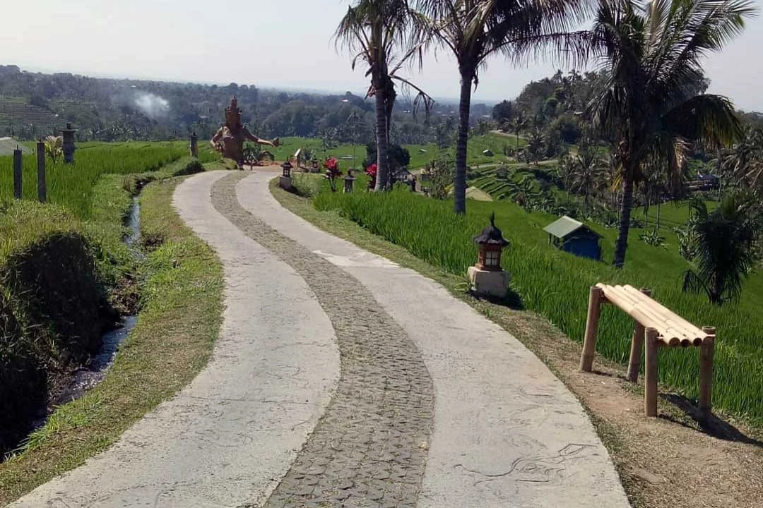 concrete cycling path in the middle of jatiluwih rice terrace