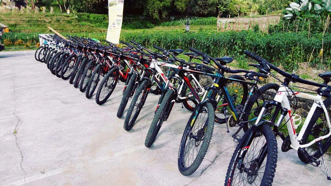 high quality of mountain bikes for jatiluwih cycling tour