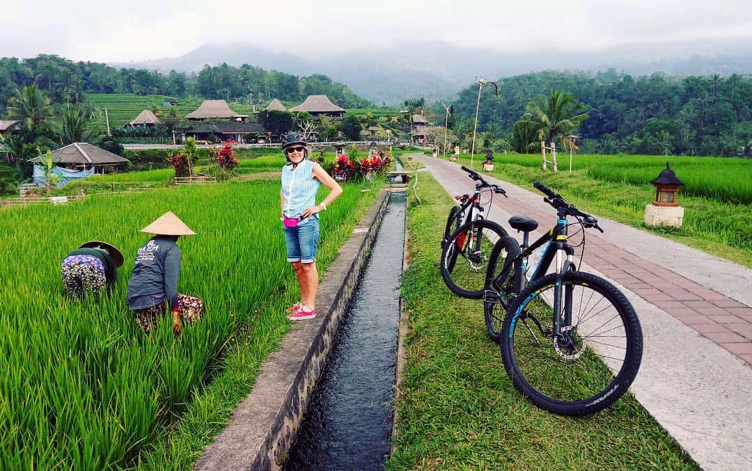 see the local people doing their job for the rice paddies