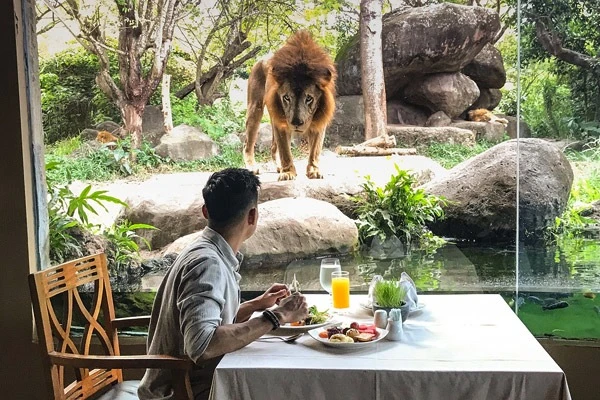 tsavo restaurant taman safari bali