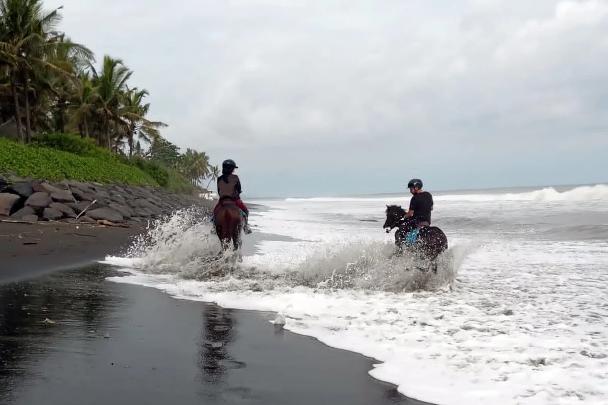 saba beach horse riding action