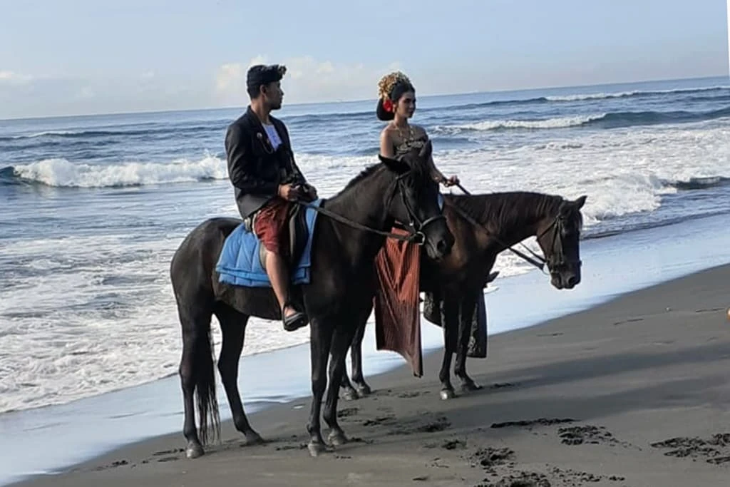 saba beach horse photo experience