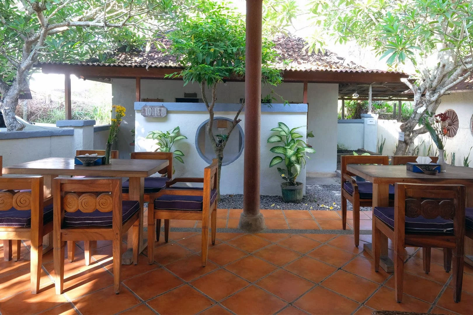 horse stable at saba facilities view