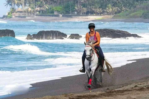 canter the strong horse along the beach