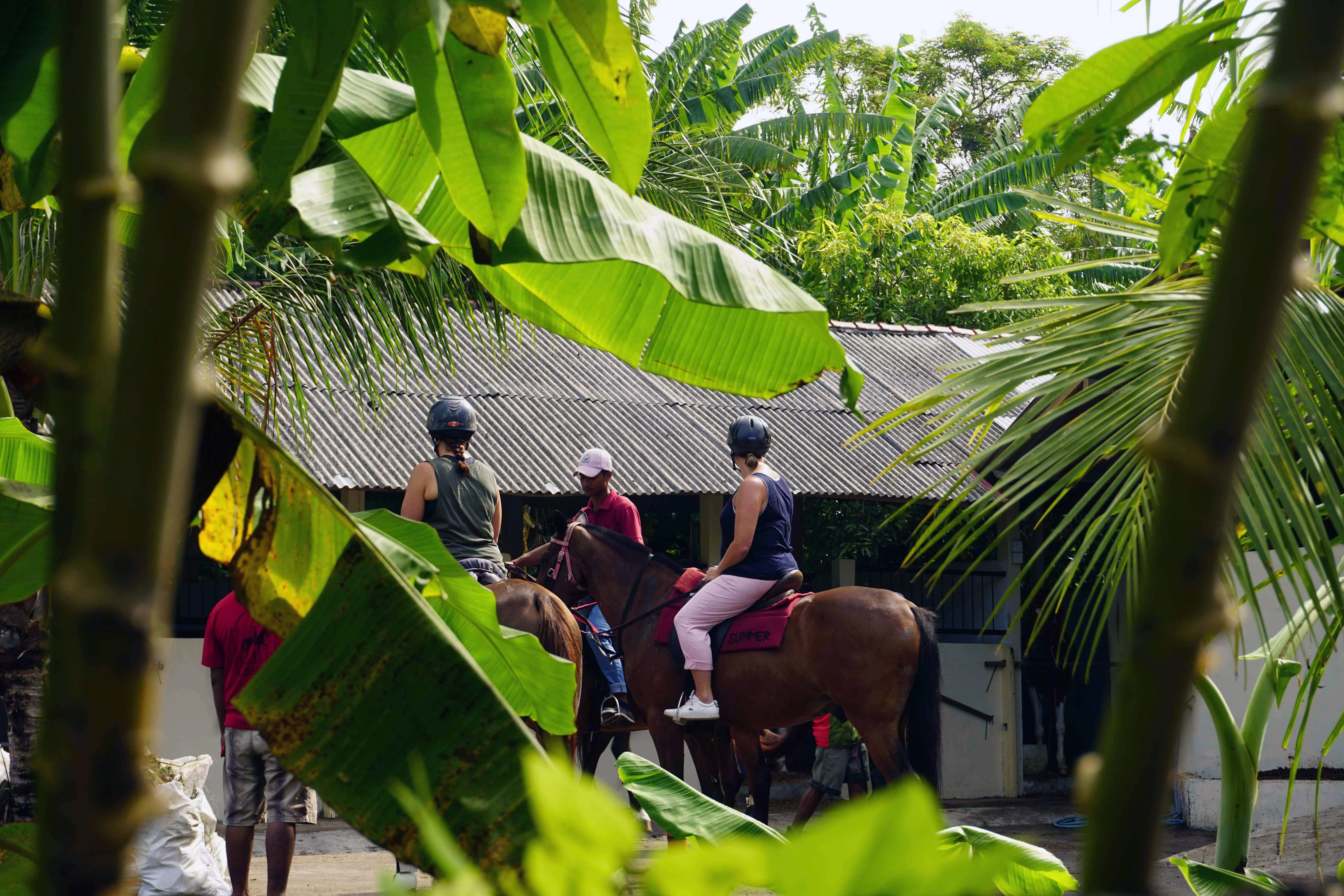 start the horse riding from the stable