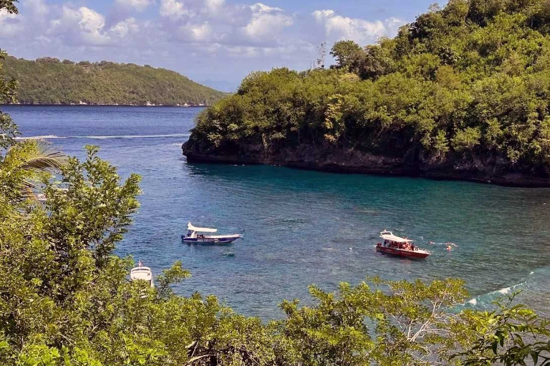gamat bay nusa penida island
