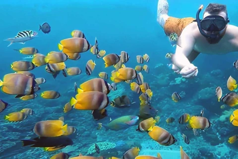 wall point snorkeling nusa penida