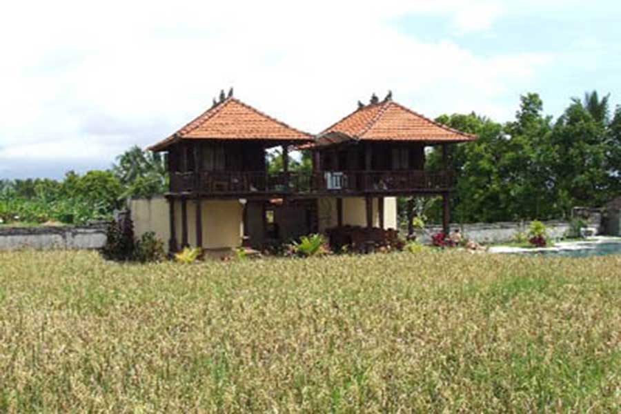 rice field view, room view, atres villa