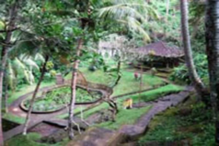 goa gajah, elephant cave, bali, temple