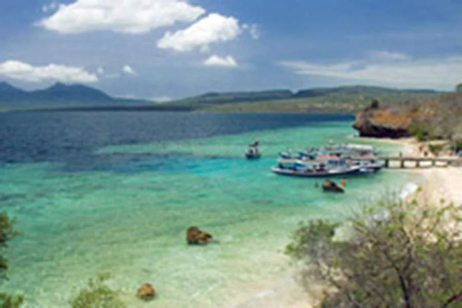 menjangan island west bali view