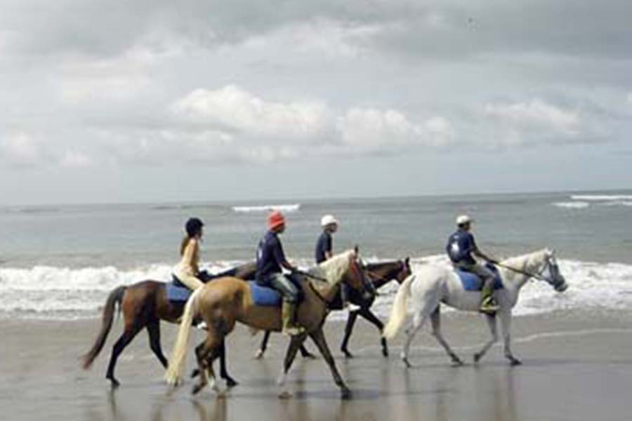 Beach Horse Riding at Canggu Beach