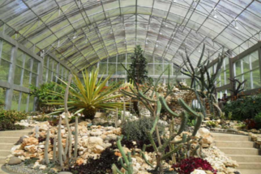bedugul botanical garden