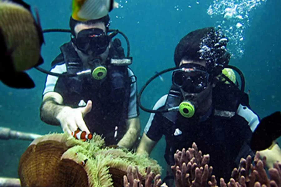 diving school, dive course, padi international