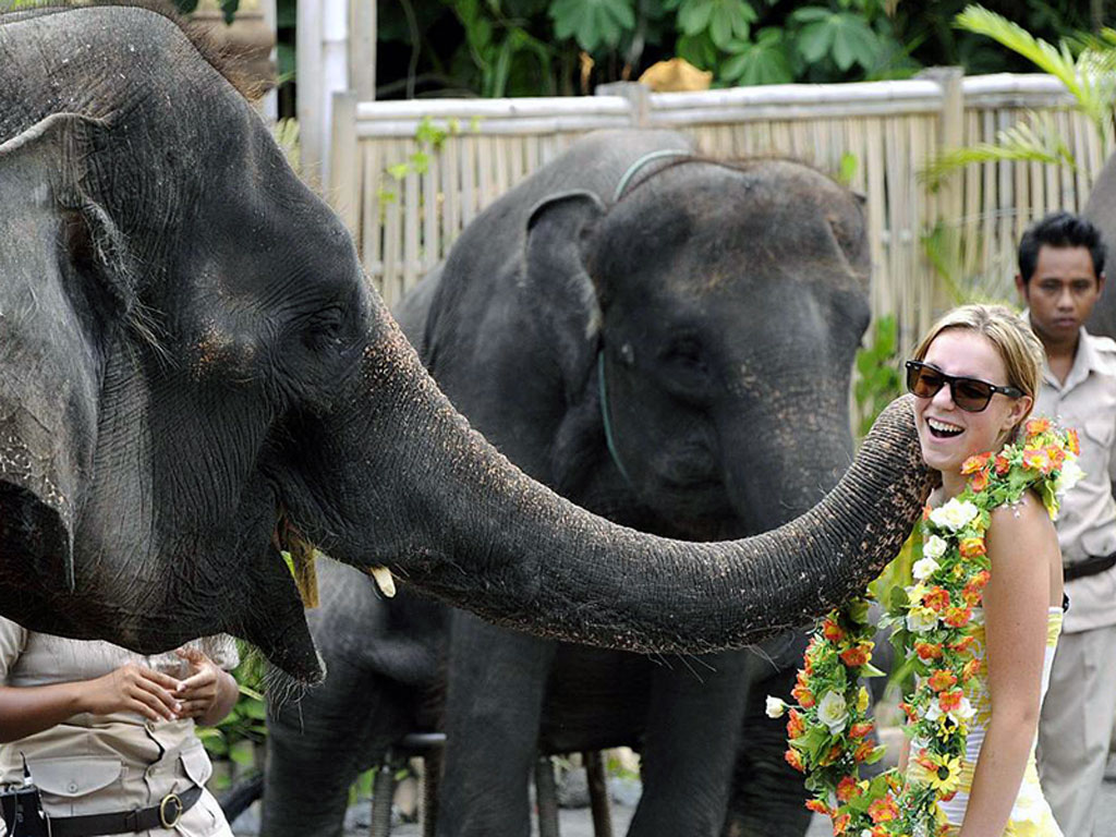 Elephant show by Bali Safari and Marine Park