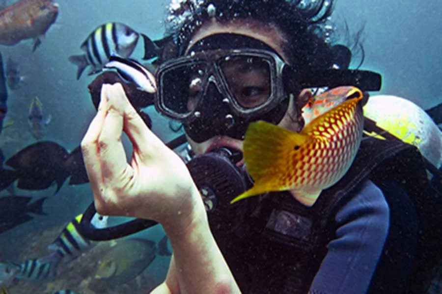 diving skill, diving bali, diving course