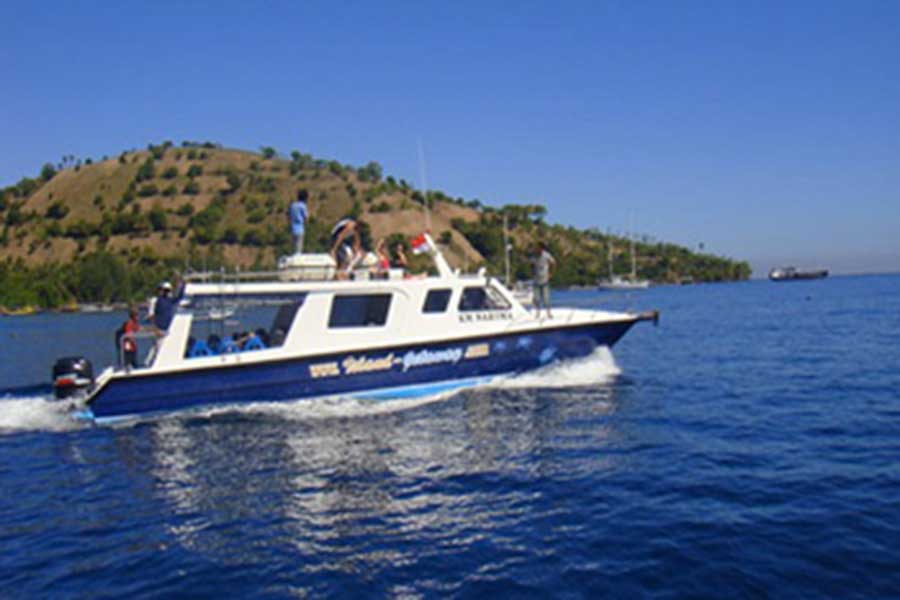 narooma boat