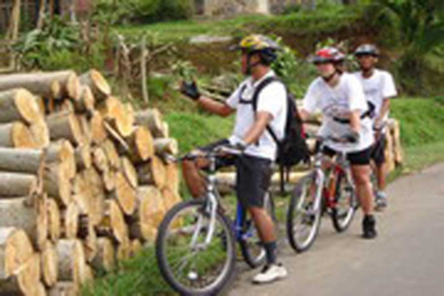cycling tours, jatiluwih village, bali cycling