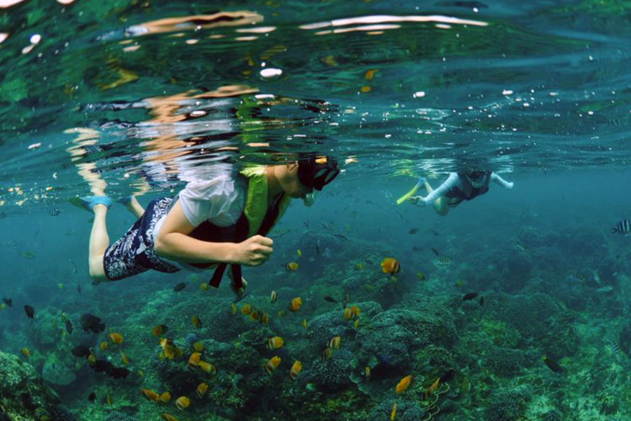 Snorkeling with colorful coral and schools of fish