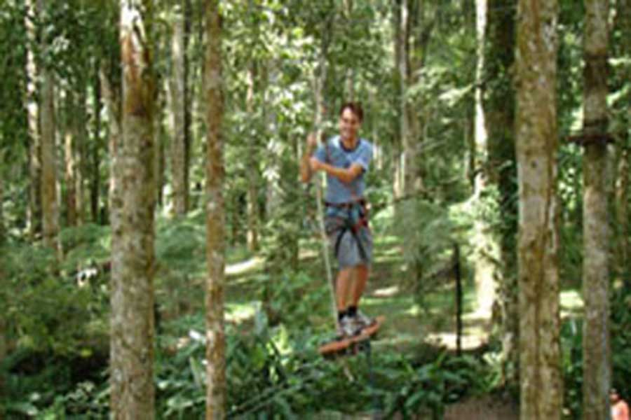 treetop adventure park bali, fun activities