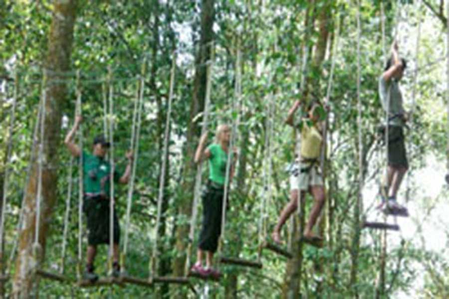 treetop adventure park bali, activities