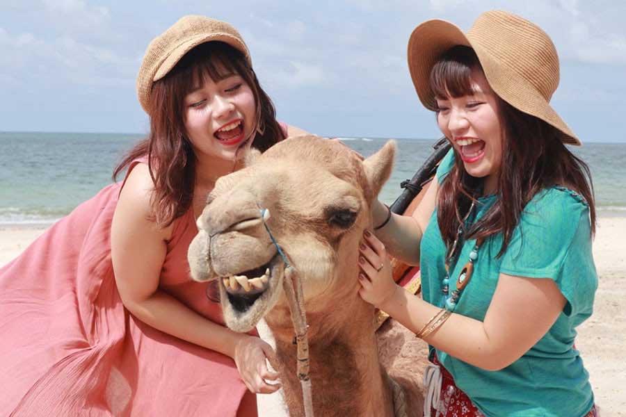 bali camel adventure, kelan beach bali