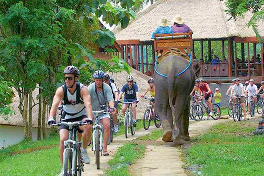 bali elephant camp, carangsari village