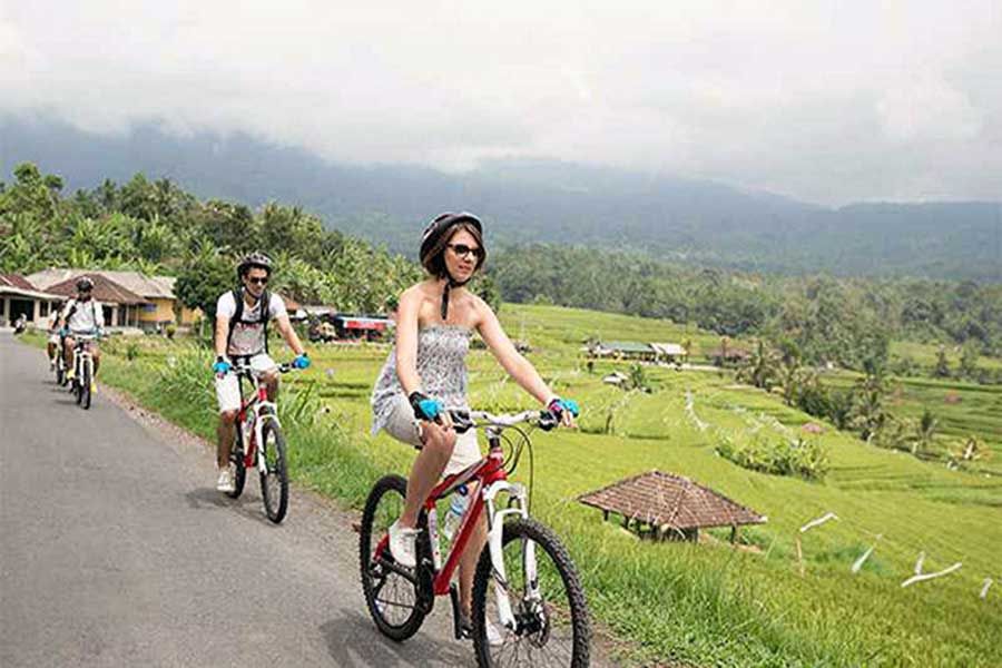 jatiluwih, rice paddy cycling