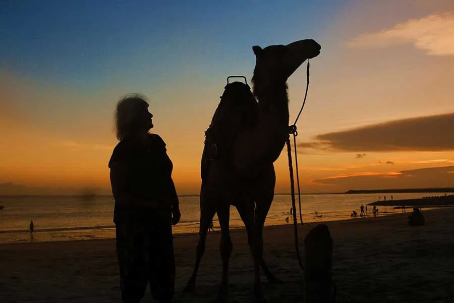 kelan beach sunset, camel adventure bali