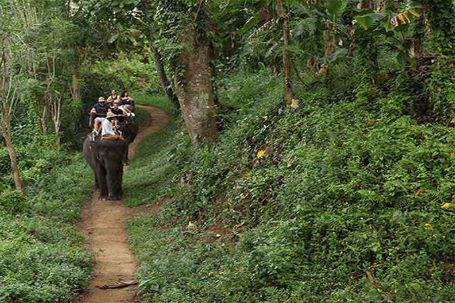 ride elephant, bali elephant trekking