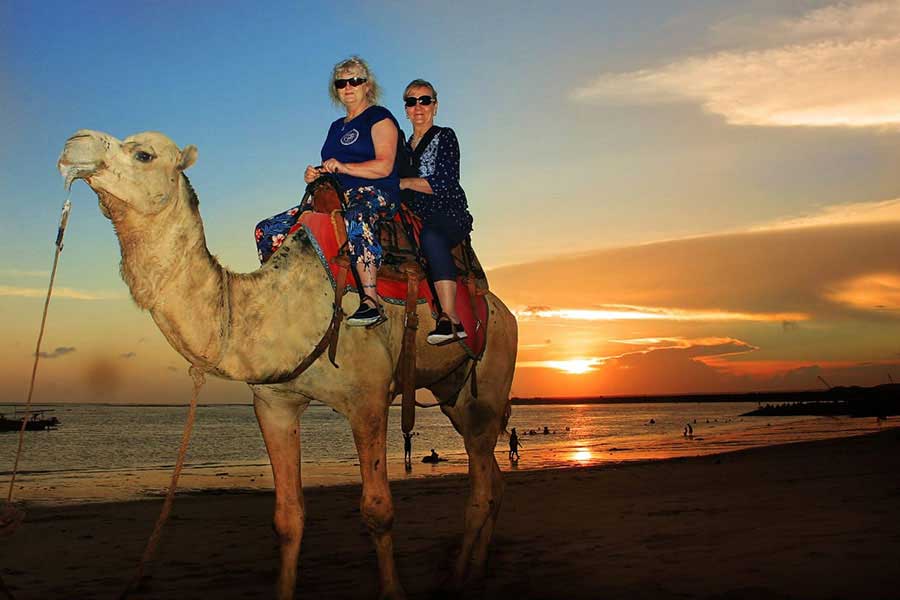 ride camel in bali, kelan beach camel safari