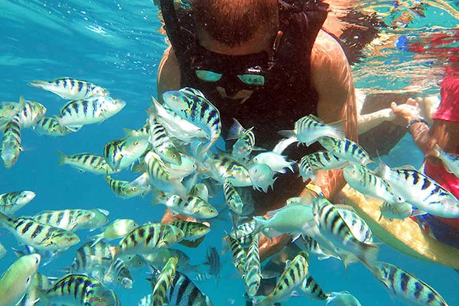 snorkeling lembongan, bounty day cruise